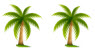 2-Palm-Trees