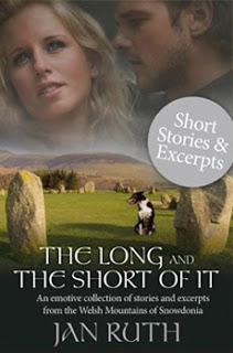 The Long and The Short of It Book Cover